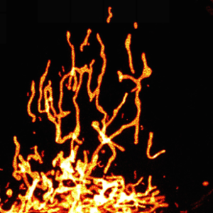 122 - Feu de camp