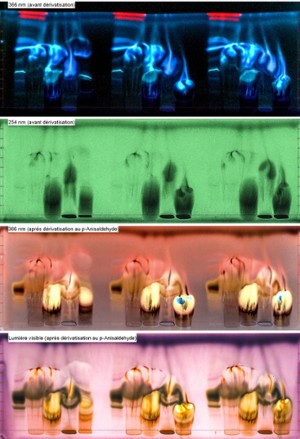 13 - Chromatographie sur couche mince haute performance (HPTLC)
