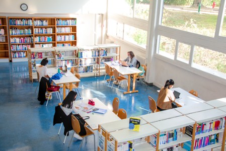 BU Sciences
