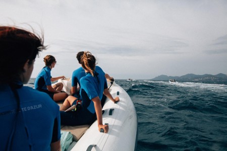 Marres Zodiac
