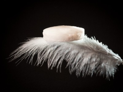 42 - Plume