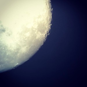 47 - Moonlight through darkness
