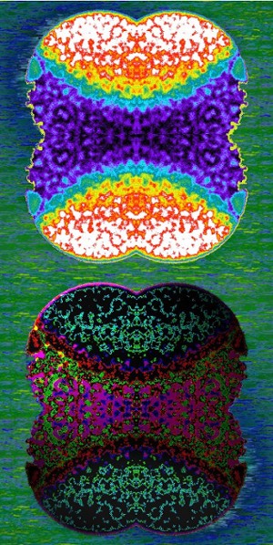 99 - Light&Dark Calcium Wave