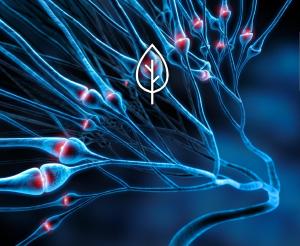 Académie 4 "Complexité et Diversité du Vivant"