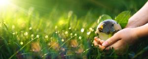 Objectifs de Développement Durable