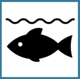 marine biology