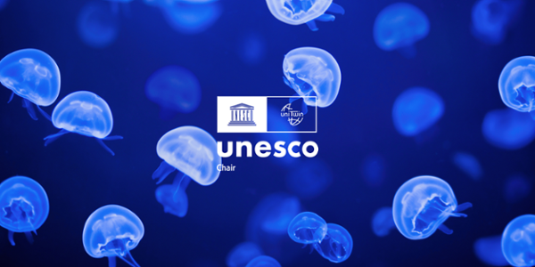 Chaire UNESCO EVA