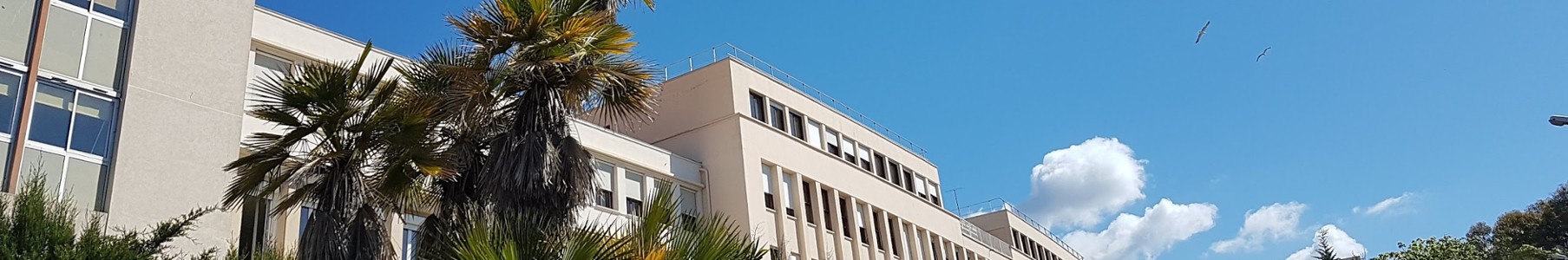 CERDACFF - bandeau secondaire
