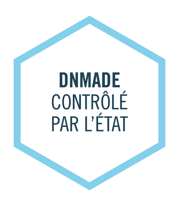 Diplôme national des métiers d’arts et du design contrôlé par l'État