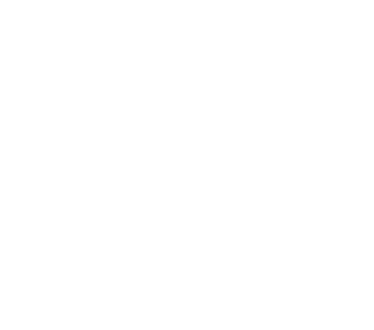 Logo Elmi - blanc - En