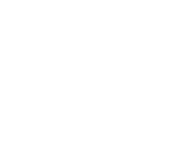 ELMI - logo blanc degradé