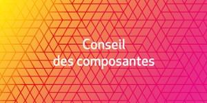Conseil des Composantes