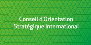Comité d'orientation stratégique international