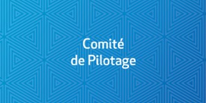 Comité de Pilotage