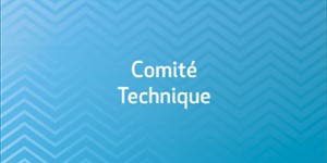 Comité technique