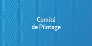 Comité de Pilotage
