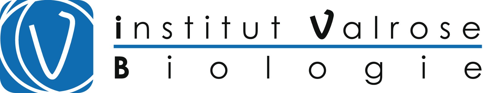 ibv