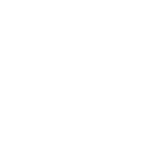 Logo IEJ - Blanc