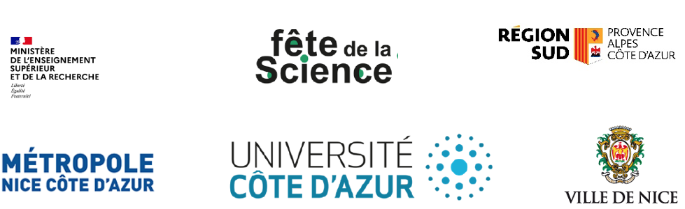 illustration fds 2023
