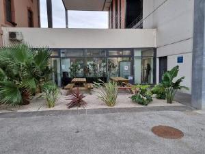 Jardin mshs