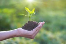 MSc Biocontrol Solutions for Plant Health - BOOST