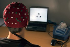 MSc Modeling for Neuronal and Cognitive Systems
