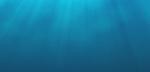 MSc Science, Conservation & Valorization of Marine Resources