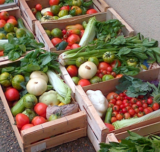 Légumes