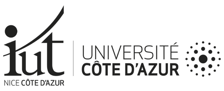 IUT noir fond transparent - horizontal