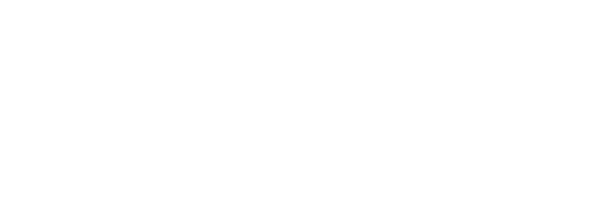 Logo ELMI Blanc avec Marianne