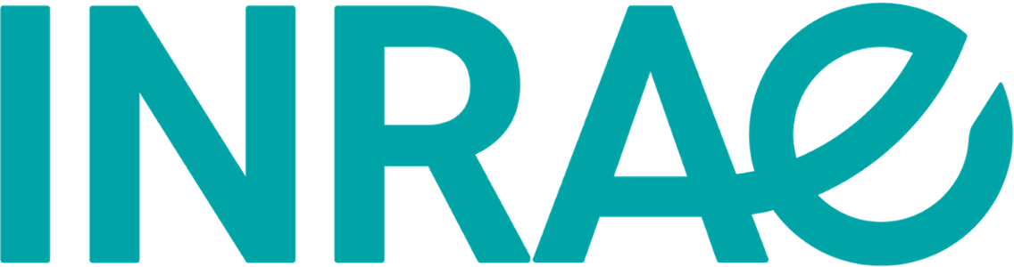Logo INRAE CSTI