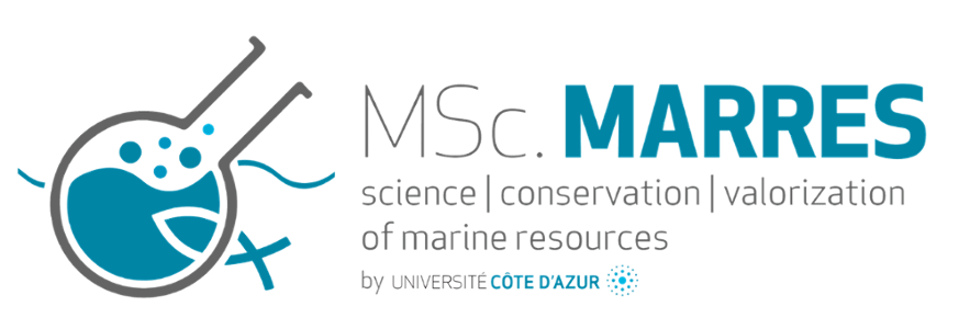 Logo Marres Education - Couleur horizontal - EN