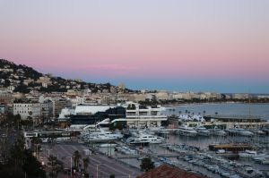 MSc Affluencers & Luxury business