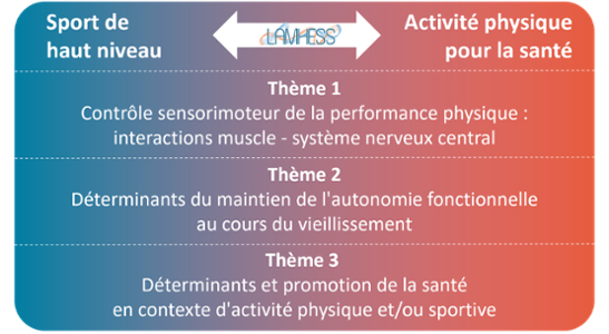 Organigramme thèmes LAMHESS 2024