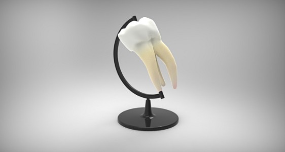AEU Endodontie pour Chirurgiens Dentistes en formation continue