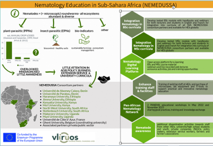 Nemedussa project plan