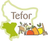 image projet TEFOR