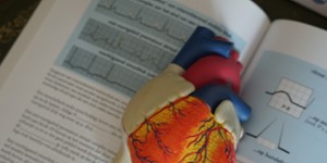 Portail Sciences et Techniques des Activités Physiques et Sportives