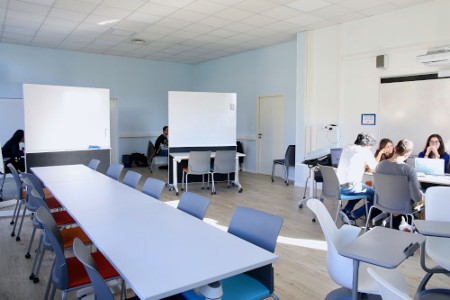 Co-learning Trotabas