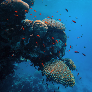 oceanography
