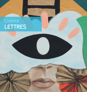 Visuel plaquette licence lettres