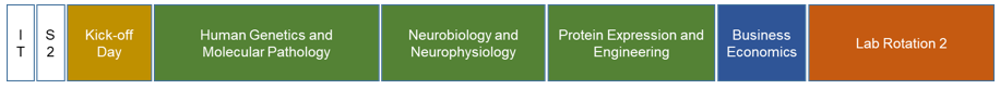 Semester 2 MemBioMed