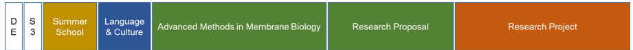 Semester 3 MemBioMed