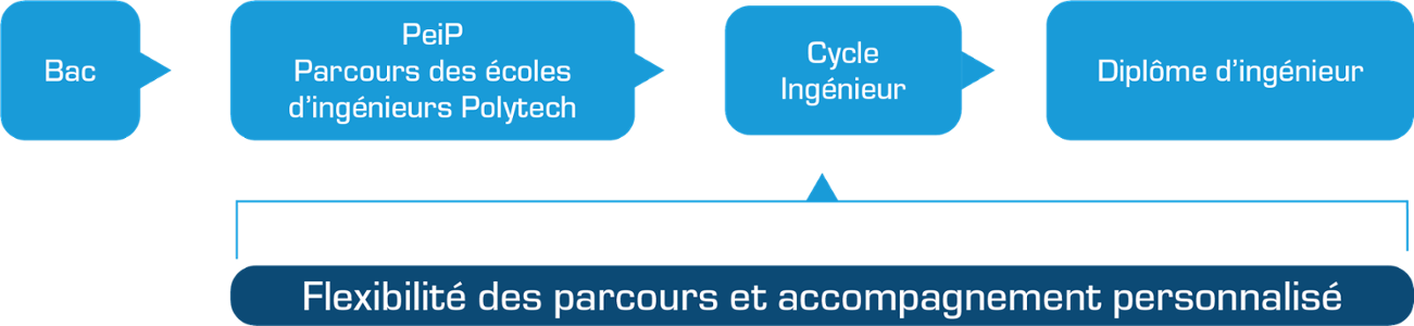 Polytech_Sportif_Haut_Niveau