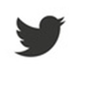 logo twitter