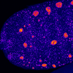 Events - RNA2022