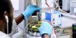 Expérience physique chimie