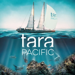 tara pacific 