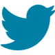Icone Twitter