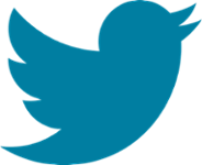 Icone Twitter
